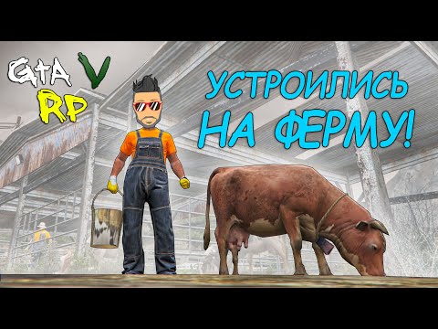 Video: GTA-opdatering Fjerner Varm Kaffe