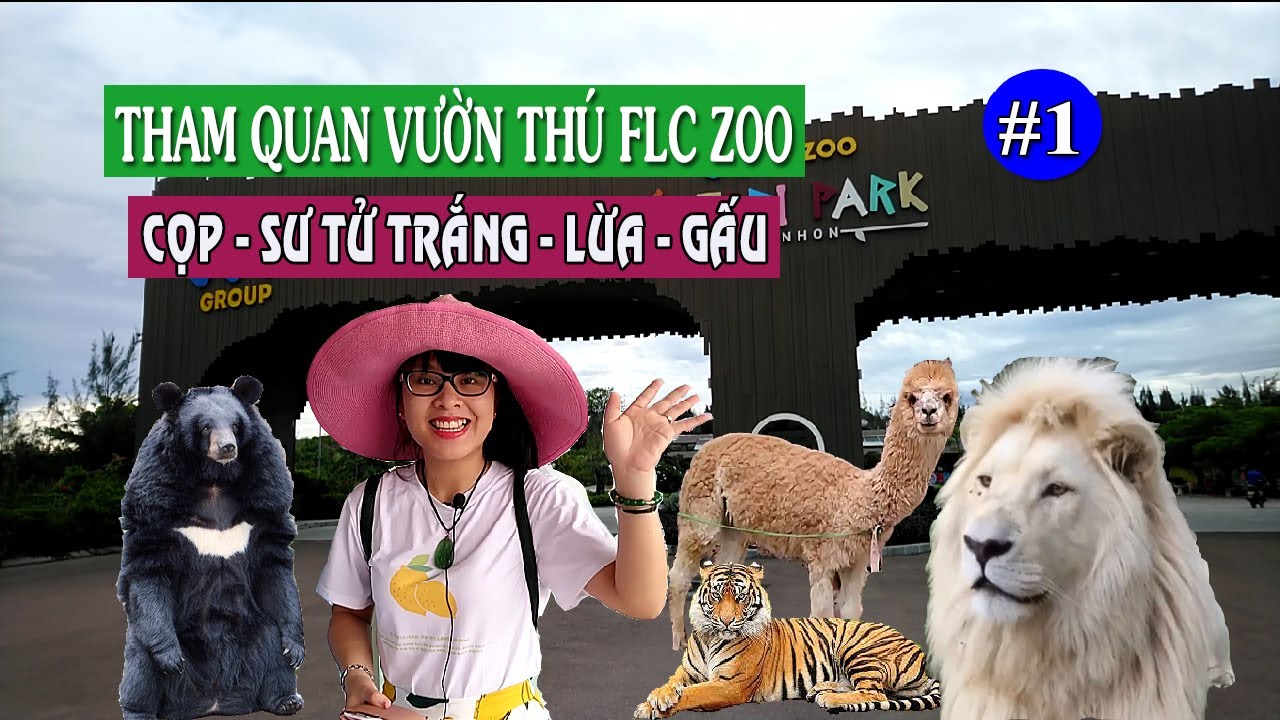 resort flc quy nhơn  Update  Tham quan Safari Park FLC Zoo Quy Nhon #1: Cọp, Sư tử trắng, Lừa, Gấu