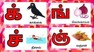 Tamil Alphabets Ik Ing Ich Learn Mei Eluthukkal In Tamil For Children -Ql1Yk