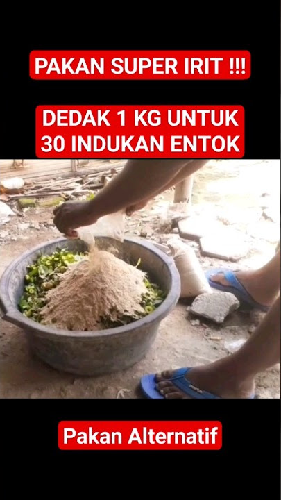 PAKAN IRIT MODAL 1 KG DEDAK UNTUK 30 INDUKAN ENTOK !!! #solusipeternak #shorts #yearofyou #viral