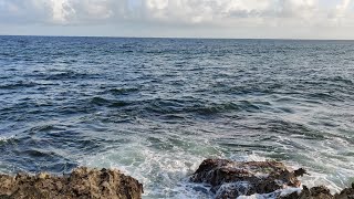 Hidden Fishing Spot In Tobago