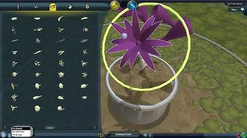 Flora Editor Reconstruction