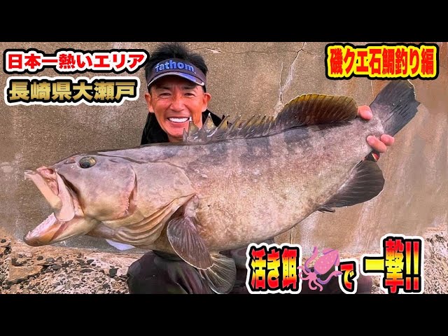 クエ・石鯛釣り】日本一熱いエリア長崎県大瀬戸 驚異のポテンシャル