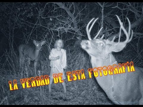 Vídeo: Kostroma Analiza Una Foto Con El Fantasma De Una Niña En El Bosque Malyshkovsky - Vista Alternativa