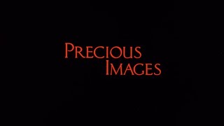 Precious Images 1996 Ftd-0230