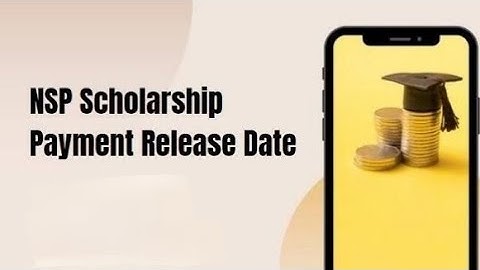 DBT Status  ✅ Now When Payment Will Be Released Batch 2024-25 PMSSS - NSP.