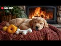 Dogs will Sleep Peacefully with Soothing Piano Music | Music for Dogs to Soothe Anxiety🎹💖🐶
