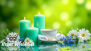 Download Lagu Calming Spa Piano Music 🌿 Relaxing Music with Water Sounds ~ Relieve Stress \u0026 Find Peace MP3 Download Lagu Calming Spa Piano Music 🌿 Relaxing Music with Water Sounds ~ Relieve Stress \u0026 Find Peace MP3