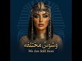 عمك وعم عمك                     محمود العسيلي                        عصام صاصا    صقر وكناريا        نجومي
