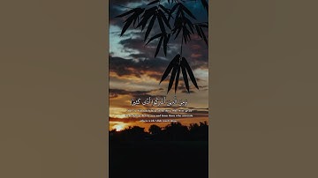 تلاوة هادئة تريح الا عصاب  💚 قران كريم 💚 بصوت جميل جدا جدا سبحان من رزقه هذا الصوت HD