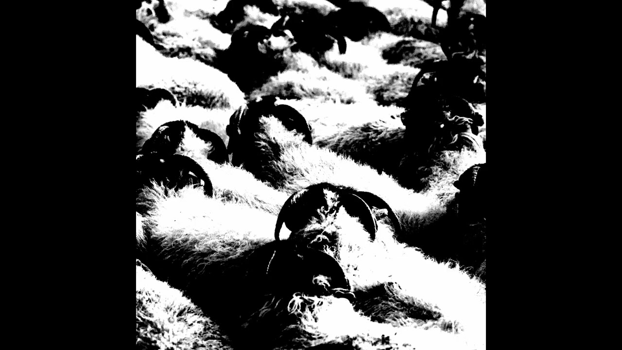 [FREE] Mayhem (CHE Type Beat) | TRAP | RAGE | HARDCORE | DIGICORE | ALTERNATIVE | GYRO TYPE BEAT |