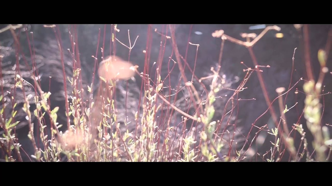 MRR 228 WHEELS CAMARO