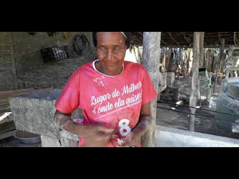 Vídeo: Araruta - Cultura Caprichosa