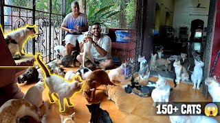 She lives with 150+ Handicapped and rescued Cats in GOA,India 😱| Cat Sanctuary Goa 🐱 by PULKIT vAmp 5,591 views 3 months ago 19 minutes