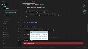 [Angular 2+ Forms and Validation] Lesson18   Address Class Validation