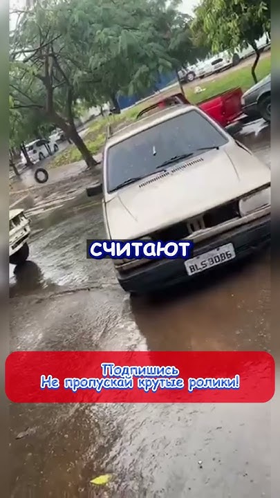 Принюхивается - YouTube