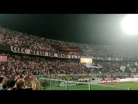 Palermo in Serie B, l'entusiasmo del Barbera