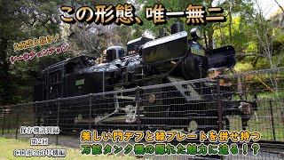 【C11260】保存機訪問録第2回　美しい門デフのタンク機が国内唯一の形態だった！？