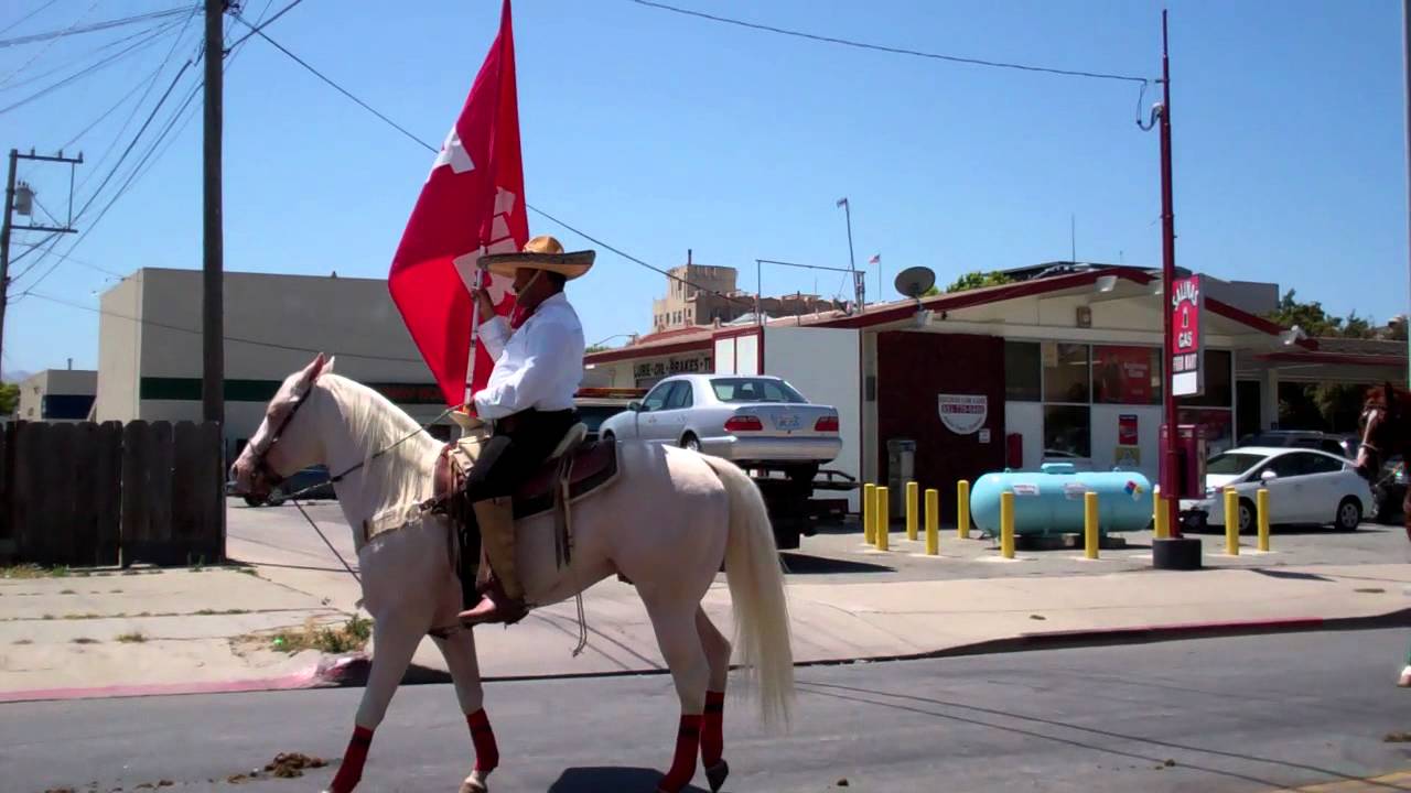 Salinas horse parade 2 YouTube