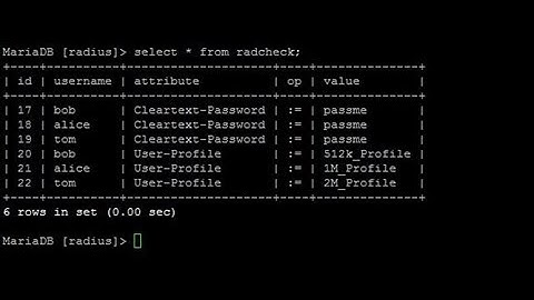 MikroTik with FreeRADIUS: User Profile Configuration