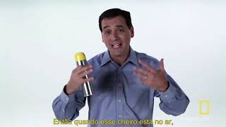 Vídeo 1   percepção   olfato   Rule Your World  Dirty Deeds   Crowd Control