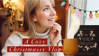 A Cozy Christmassy Vlog 🎄Christmas shopping,  gift-giving \& magical lights (Vlogmas Day 11)