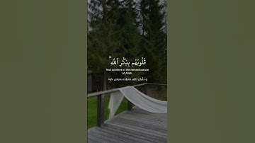 ‎سورة الرعد | Surah Ar-Ra'd | ‎سورەتی الرعد