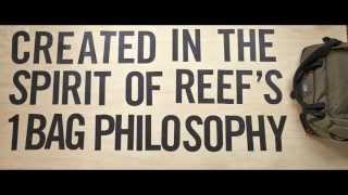 Download Lagu REEF // SHELTER SUPPLY MP3