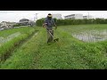 田植え後草刈り　ｆｓ２５０　ナイロンコード