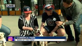 Bark at the Park at Comerica Park