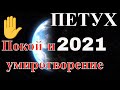 Петух в  2021 году, в год Металлического Быка. Гороскоп на 2021 год.