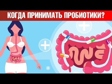 Когда пить пробиотики для максимального усвоения?🧐