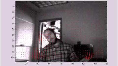 optical flow demo