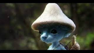 We live, we love, we lie