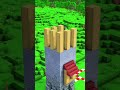 Build Beyond Limits | Amazing Minecraft Houses, Castles & Mega Projects #gaming #minecraftbuilds