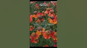 تلاوة للشيخ سعد الغامدي ماتيسر من سورة الانعام
