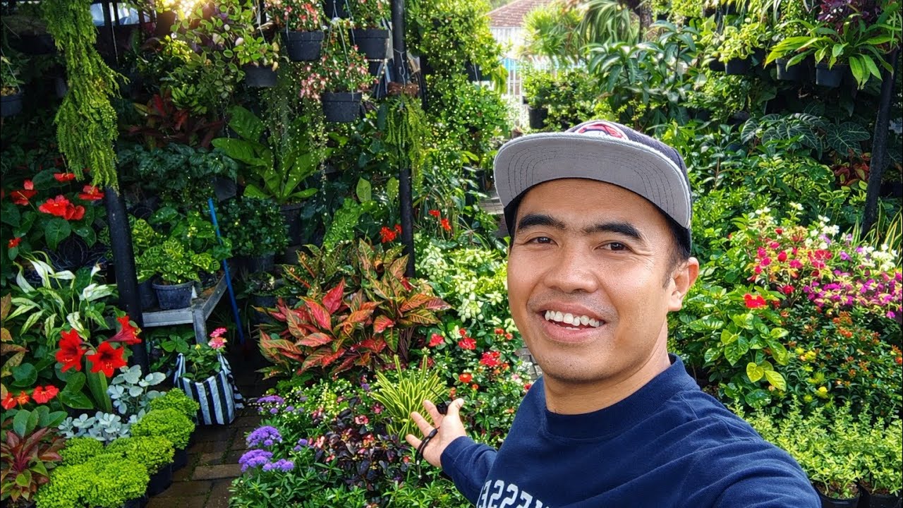 BLUSUSKAN KE PUSAT TANAMAN HIAS DI TERMINAL BANDUNGAN SEMARANG DISINI SEMUA ADA SERBA MURAH