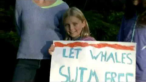 BT Vancouver: Whale Captivity Issue to be Discusse...