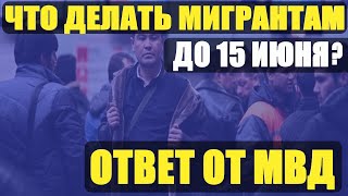 ЧТО ДЕЛАТЬ МИГРАНТАМ ДО 15 ИЮНЯ. ОТВЕТ МВД. Срочно всем мигрантам смотреть