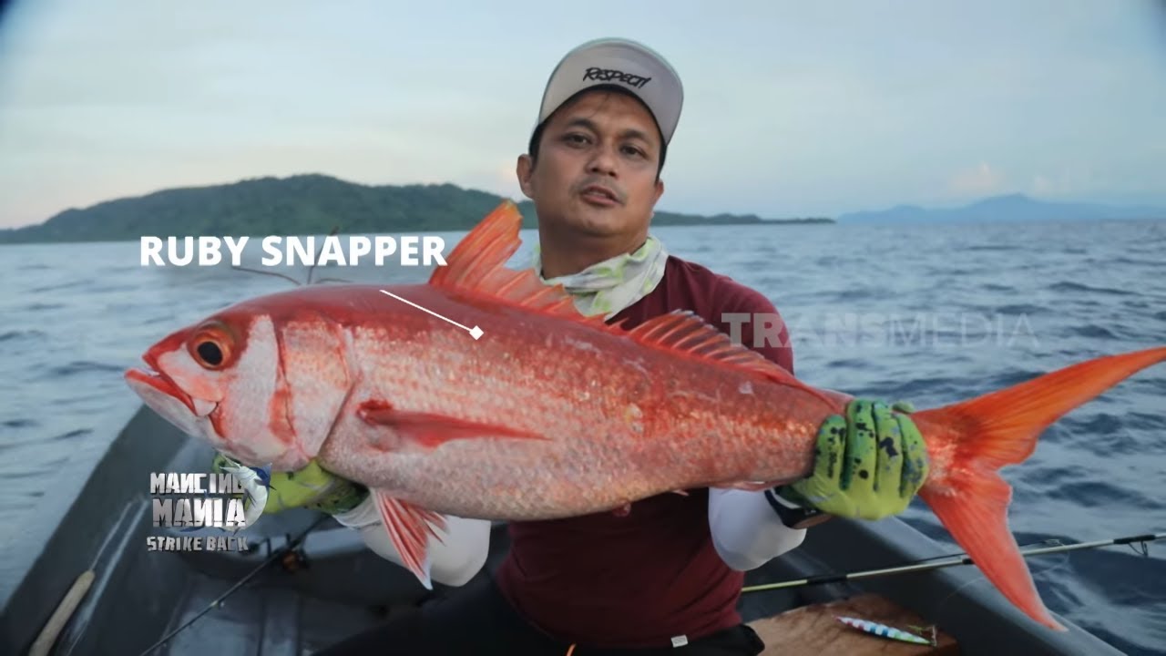 Perburuan Ruby Snapper | MANCING MANIA STRIKE BACK (16/11/25) Part 2