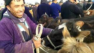 ЧИРОКЧИ МОЛ БОЗОРИ.УЗБДАГИ  ЕНГ КАТТА БУКА.CHIROQCHI MOL BOZORI..