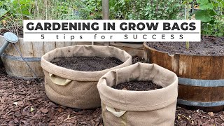 The Best Vegetables to Grow in Grow Bags: Easy and Productive