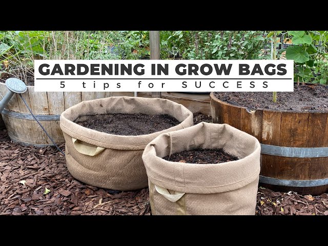 Grow Bags Vegetable Gardening Guide - Harvest to Table