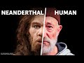 Who Would Win: You VS. Neanderthal