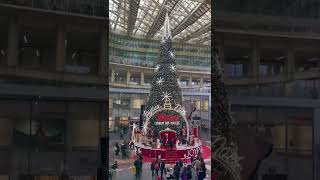 Christmas In Paris tiktok myparisiandiary