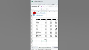 Sumar, promediar, etc., en celdas visibles en Excel #shorts