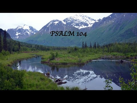 Psalm 104