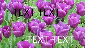 Image animation. Zoom in