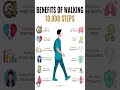 Benefits of 10000 steps walking.Learn before its too late.
