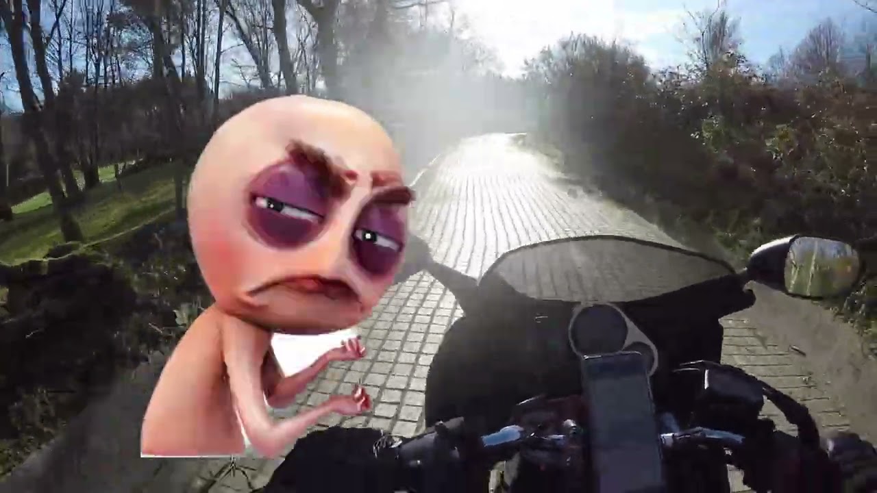 Vamos hasta el pueblo de Friol - Lugo, visitamos el Castro y la Fortaleza Museo 🏍💨✌😀